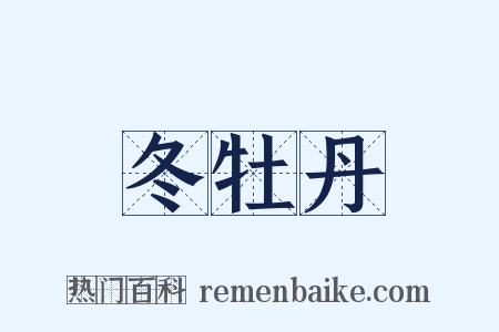 冬牡丹是什么意思的图片